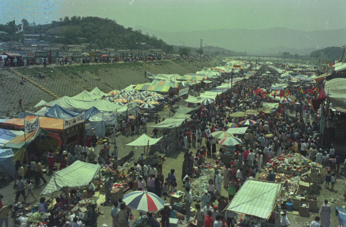 1981 단오장 전경002.jpg